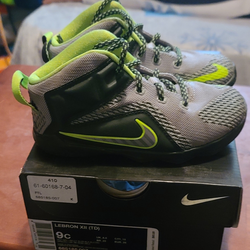 Dunkman LeBron 12 sz 9c toddler